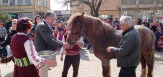 ПРАЗНИК НА КОНЯ И КОННИЯТ СПОРТ В СЕЛО ТЕНЕВО